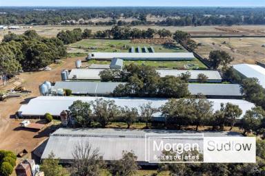 Farm Sold - WA - Darling Downs - 6122 - Versatile Mixed-Use Rural Land & Light Commercial Potential  (Image 2)