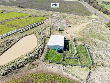 Farm Sold - NSW - Inverell - 2360 - SUNNY DOWNS  (Image 2)