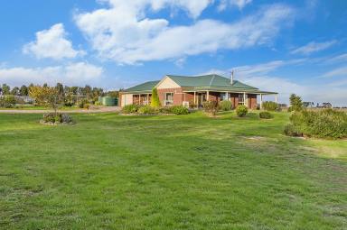 Farm Sold - VIC - Purnim West - 3278 - The Ideal Stud Property Horse, Cattle or Sheep  (Image 2)