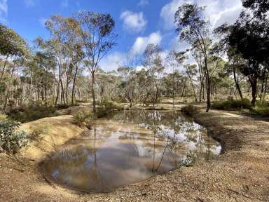 Farm Sold - VIC - Talbot - 3371 - Your Home on the Range! Goldfields Farmlet with weekender and power connected!  (Image 2)