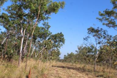 Farm For Sale - NT - Batchelor - 0845 - 60+ Acres just waiting for you and only 10 minutes to Batchelor  (Image 2)