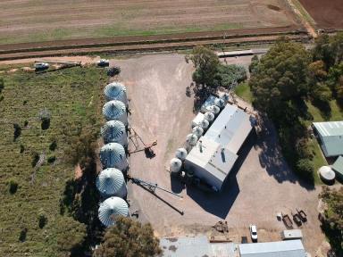 Farm Sold - NSW - Coleambally - 2707 - Grain Storage, Grading and Packing Facility  (Image 2)