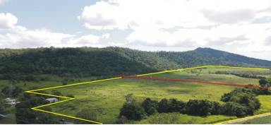 Farm For Sale - QLD - Bemerside - 4850 - CANE FARM & CATTLE PROPERTY - BEST OF BOTH WORLDS !  (Image 2)