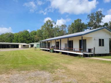 Farm Sold - QLD - Bemerside - 4850 - GRAZING OR LIFESTYLE PROPERTY WITH RIVER FRONTAGE IN CARDWELL RANGE NORTH OF INGHAM!  (Image 2)