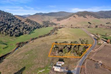 Farm Sold - VIC - Berringama - 3691 - RESERVE HAS BEEN MEET CURRENT BID $88,500 DO MISS OUT REGISTER NOW TO BID  (Image 2)