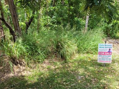 Farm Sold - QLD - Forrest Beach - 4850 - LARGE RURAL BLOCK AT BEACH !  (Image 2)