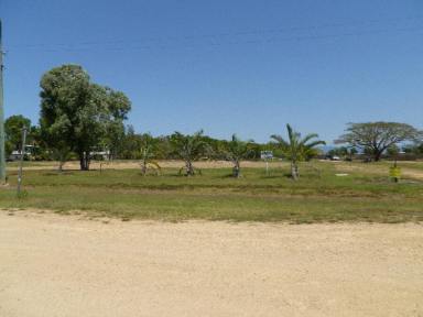 Farm For Sale - QLD - Ingham - 4850 - LARGE BLOCK ON OUTSKIRTS OF TOWN !  (Image 2)
