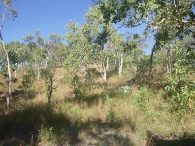 Farm Sold - QLD - Bambaroo - 4850 - RURAL ACREAGE LOCATED BETWEEN INGHAM & TOWNSVILLE !  (Image 2)