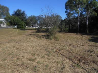 Farm For Sale - QLD - Ingham - 4850 - 4,189 SQ.M. (OVER 1 ACRE) ON OUTSKIRTS OF TOWN!  (Image 2)