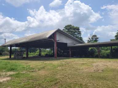 Farm Sold - QLD - Ingham - 4850 - 9,425 SQ.M. (OVER 2.25 ACRE) BLOCK IN INGHAM TOWNSHIP!  (Image 2)