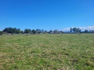 Farm For Sale - QLD - Toobanna - 4850 - 9,007 SQ.M. (OVER 2 ACRES) OF LAND SOUTH OF INGHAM!  (Image 2)