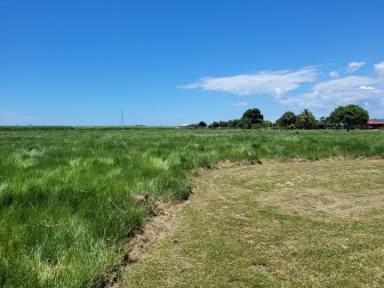Farm For Sale - QLD - Toobanna - 4850 - 8,000 SQ.M. (APPROX. 2 ACRES) OF LAND SOUTH OF INGHAM!  (Image 2)