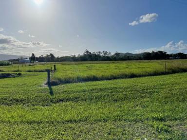 Farm Sold - QLD - Peacock Siding - 4850 - 2.42 HECTARES (OVER 5.9 ACRES) WEST OF INGHAM!  (Image 2)