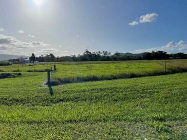 Farm Sold - QLD - Peacock Siding - 4850 - 2.42 HECTARES (OVER 5.9 ACRES) WEST OF INGHAM!  (Image 2)