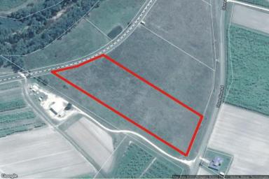 Farm Sold - QLD - Peacock Siding - 4850 - 2.42 HECTARES (OVER 5.9 ACRES) WEST OF INGHAM!  (Image 2)