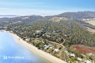 Farm Sold - TAS - Dennes Point - 7150 - Water Views/All-Day Sun/Must See Private Acreage!  (Image 2)