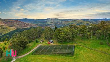 Farm For Sale - NSW - Kanimbla - 2790 - Elegant  – Iconic - Incomparable  (Image 2)