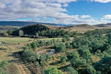 Farm Sold - TAS - Hayes - 7140 - Your Own Parcel of Paradise  (Image 2)