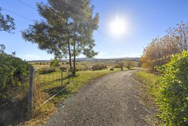 Farm Sold - NSW - Yass - 2582 - Private Country Dream Within Reach of The City  (Image 2)