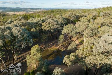 Farm Sold - NSW - Manildra - 2865 - The Perfect getaway block  (Image 2)
