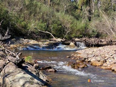 Farm Sold - NSW - Yowrie - 2550 - PRIVACY, RIVER FRONTAGE, ADJOINING NATIONAL PARK  (Image 2)
