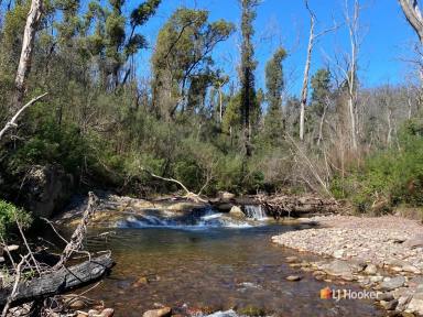 Farm Sold - NSW - Yowrie - 2550 - PRIVACY, RIVER FRONTAGE, ADJOINING NATIONAL PARK  (Image 2)