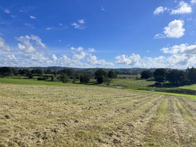 Farm Sold - NSW - Kyogle - 2474 - BUILD YOUR DREAM HOME  (Image 2)