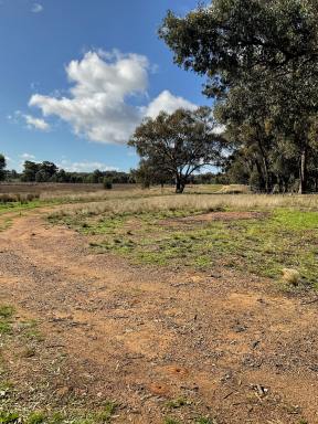 Farm Sold - VIC - Chiltern - 3683 - Recreational property - no neighbours!  (Image 2)