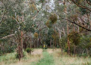 Farm Sold - VIC - Tuerong - 3915 - A Captivating Natural Setting for the Perfect Family Lifestyle (STCA)  (Image 2)