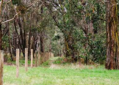 Farm Sold - VIC - Tuerong - 3915 - A Captivating Natural Setting for the Perfect Family Lifestyle (STCA)  (Image 2)