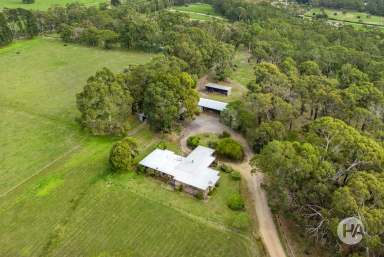 Farm Sold - VIC - Tuerong - 3915 - Tranquil Treechange On 15 Acres  (Image 2)