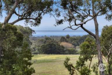 Farm Sold - VIC - Tuerong - 3915 - Tranquil Treechange On 15 Acres  (Image 2)