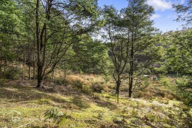 Farm Sold - TAS - Garden Island Creek - 7112 - Private, Peaceful, Perfect  (Image 2)