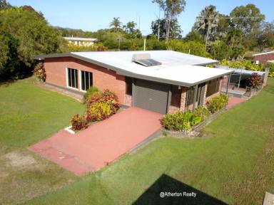 Farm For Sale - QLD - Mareeba - 4880 - 24 ACRES WITH UNLIMITED LIFESTYLE POTENTIAL  (Image 2)