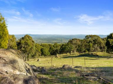 Farm Sold - VIC - Tallarook - 3659 - I can see for Miles  (Image 2)