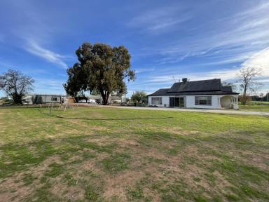 Farm Sold - NSW - Koraleigh - 2735 - Room for a Pony  (Image 2)