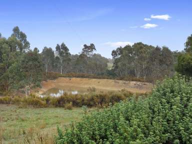 Farm Sold - VIC - Tallarook - 3659 - Lifestyle Farm Tallarook  (Image 2)