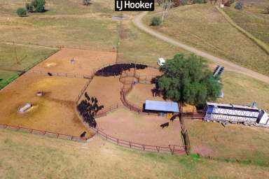 Farm Sold - NSW - Keera - 2404 - SOLD BY WAYNE DALEY LJ HOOKER INVERELL  (Image 2)