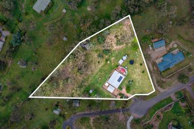 Farm Sold - QLD - Laidley Heights - 4341 - Neat and tidy family home on nearly 2 acres!  (Image 2)