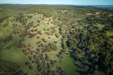 Farm Sold - WA - North Dandalup - 6207 - Panoramic Views, Private Hill Top Setting & River Frontage  (Image 2)