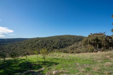 Farm Sold - WA - North Dandalup - 6207 - Panoramic Views, Private Hill Top Setting & River Frontage  (Image 2)