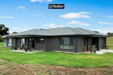 Farm Sold - NSW - Inverell - 2360 - SOLD BY LJ HOOKER INVERELL  (Image 2)