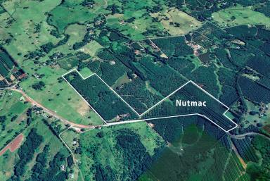 Farm Sold - NSW - Nashua - 2479 - An Attractive Offering Providing the Perfect Balance of Lifestyle and Income  (Image 2)