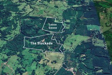 Farm Sold - NSW - Eureka - 2480 - A Blank Canvas Opportunity, 36 Hectare Working Farm on Elevated Land  (Image 2)