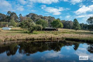 Farm Sold - NSW - Long Beach - 2536 - Iconic Long Beach Farm - 24ha  (Image 2)