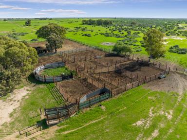 Farm Auction - NSW - Deniliquin - 2710 - 'A Renowned Southern Riverina Pastoral Holding'  (Image 2)