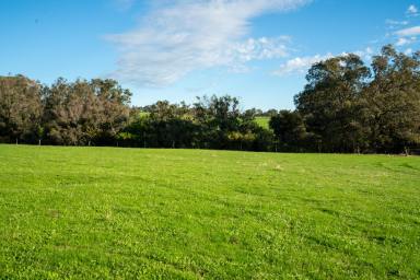Farm Sold - WA - North Dandalup - 6207 - 10 Acres Fronting the North Dandalup River  (Image 2)