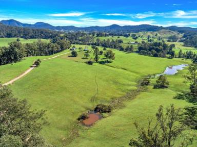 Farm Sold - NSW - Utungun - 2447 - Simply the best  - Country road take me home!  (Image 2)