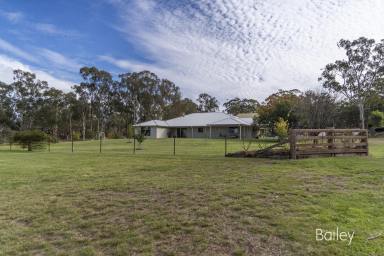 Farm Sold - NSW - Denman - 2328 - "BUNDALEER" | RURAL ACREAGE WITH LARGE, MODERN FAMILY HOME  (Image 2)