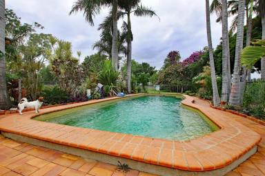 Farm Sold - QLD - Kianga - 4718 - Tropical Gardens, Abundance of Water, Great Improvements  (Image 2)